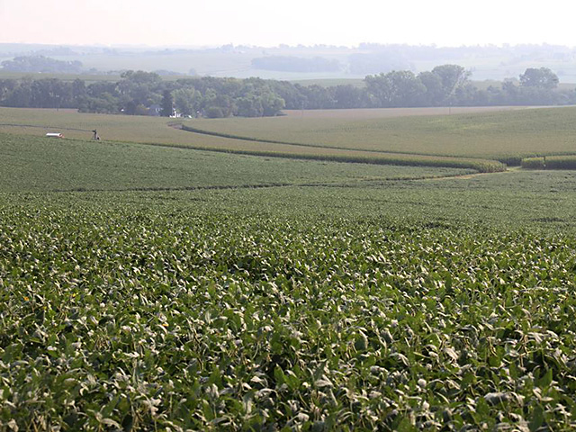 Some states, such as Iowa, have passed laws to try to avoid court battles that divide inherited farmland among heirs. (DTN photo by Elaine Shein)
